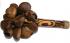 Natural Bali Nut Shaker / Chestnut Shaker / Pangi Seed Shaker 