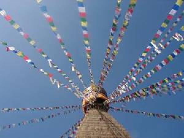 Genuine Medium Tibetan Prayer Flags ( Lung Ta) - Fair Trade - Handmade in Nepal